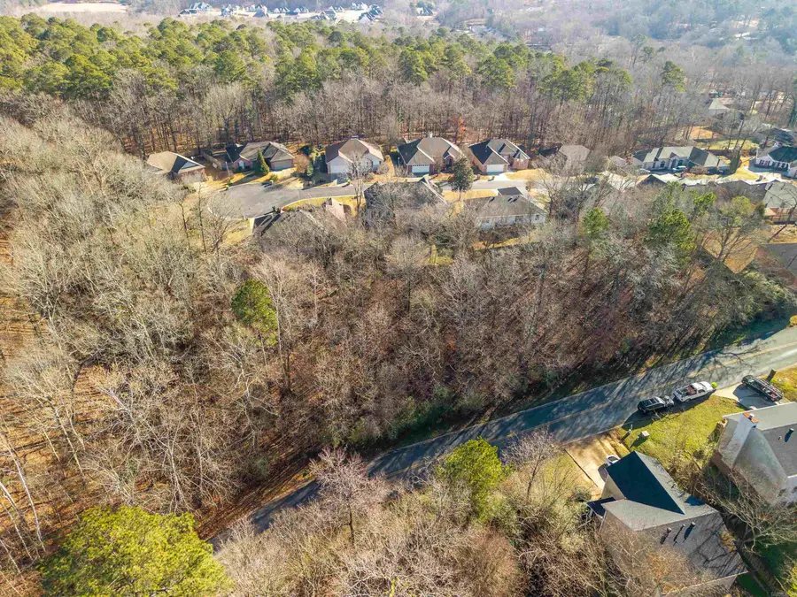 Lot 116 Volcanic Drive, Benton, AR 72015 - Image #3