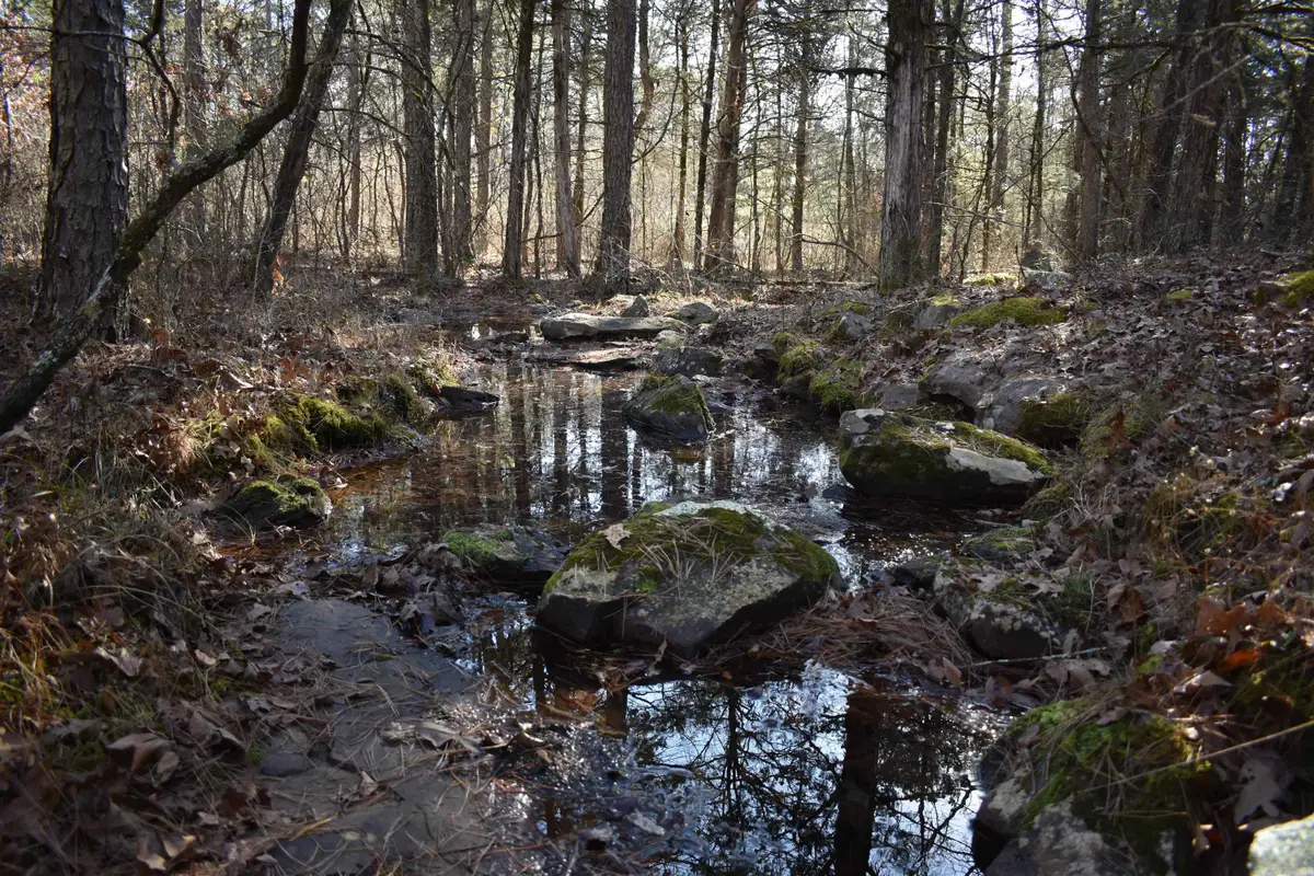 0000 Hwy 22, Delaware, AR 72835 - #1