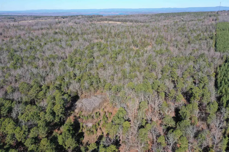 0000 Hwy 22, Delaware, AR 72835 - #3