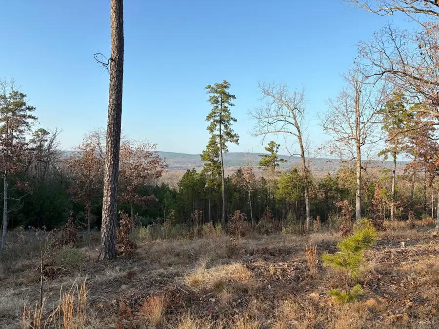 Address Withheld By Seller, Roland, AR 72135 - Image #2