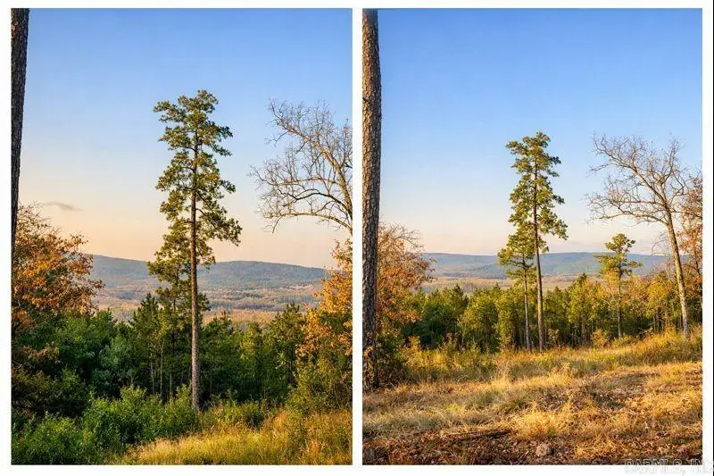 21217 Valley View Cove, Roland, AR 72135 - Image #1