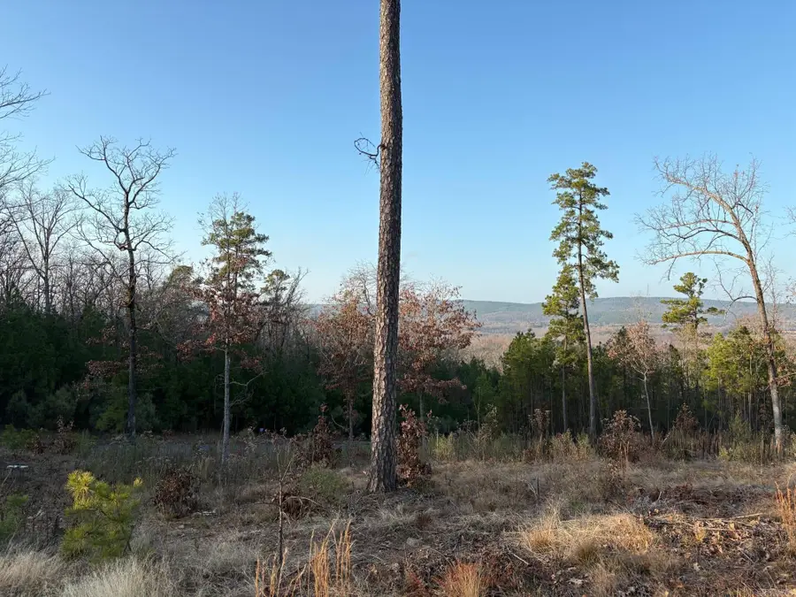 21217 Valley View Cove, Roland, AR 72135 - Image #3