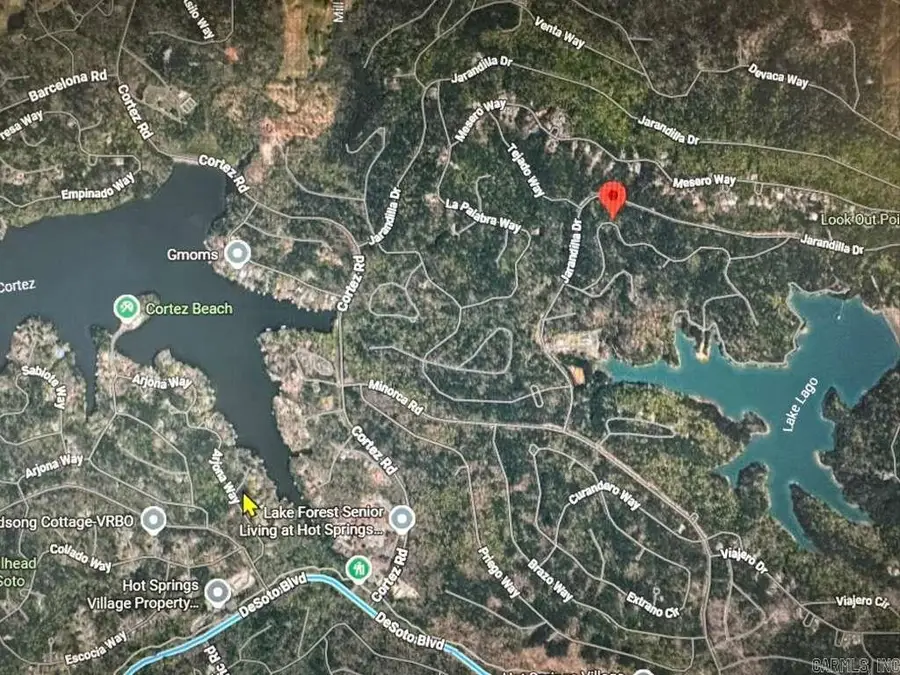 16 Camisa Way, Hot Springs Village, AR 71909 - Image #3