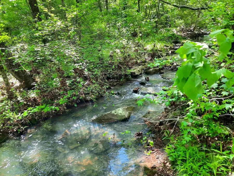 Flat Rock, Mountain View, AR 72560 - Image #3