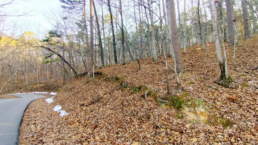 Address Withheld By Seller, Hot Springs Village, AR 71909 - #3