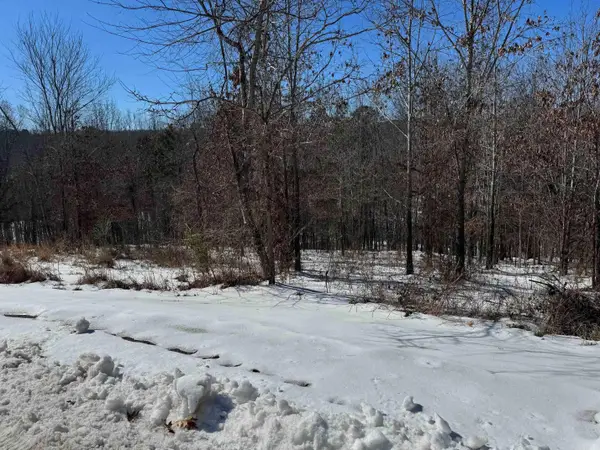 000 Birdie Ln. Lot 13, Mountain View, AR 72560