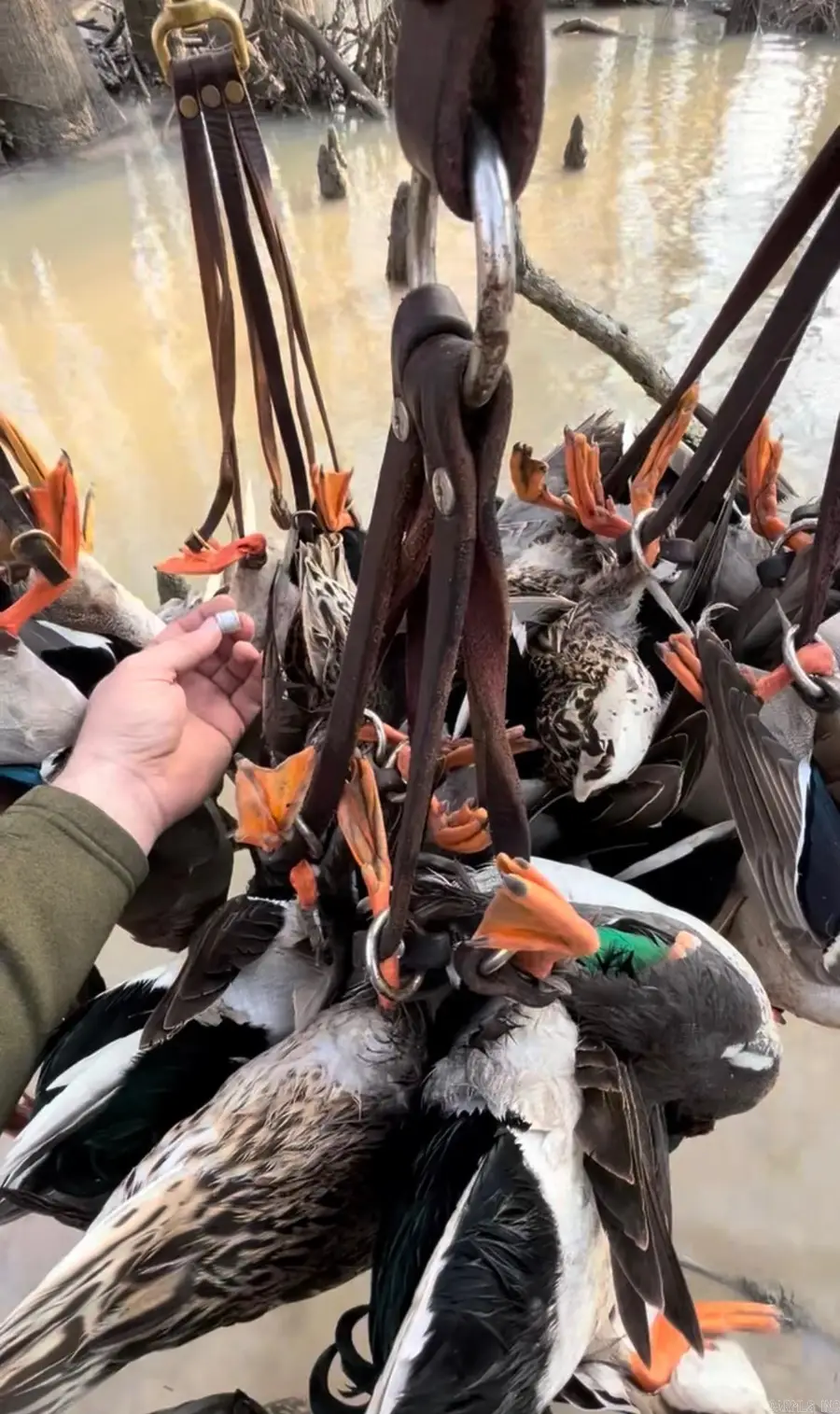 00 Sfc 431, Widener, AR 72394 - #2