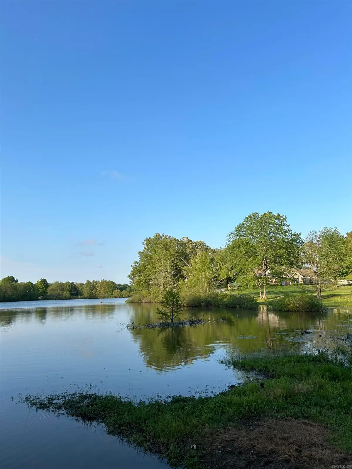 Clay Street, Piggott, AR 72454 - Image #1