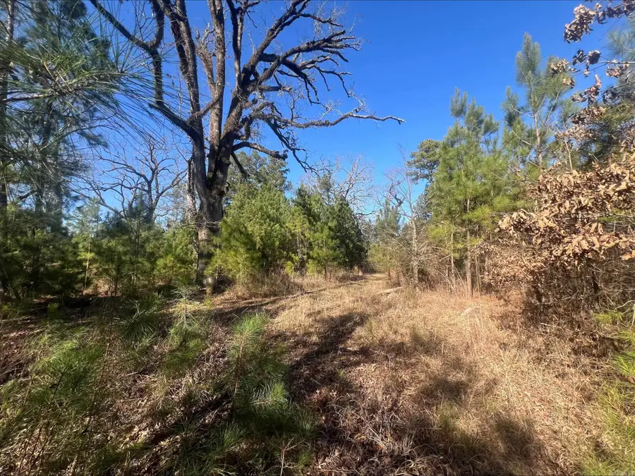 Address Withheld By Seller, New Edinburg, AR 71660 - #3