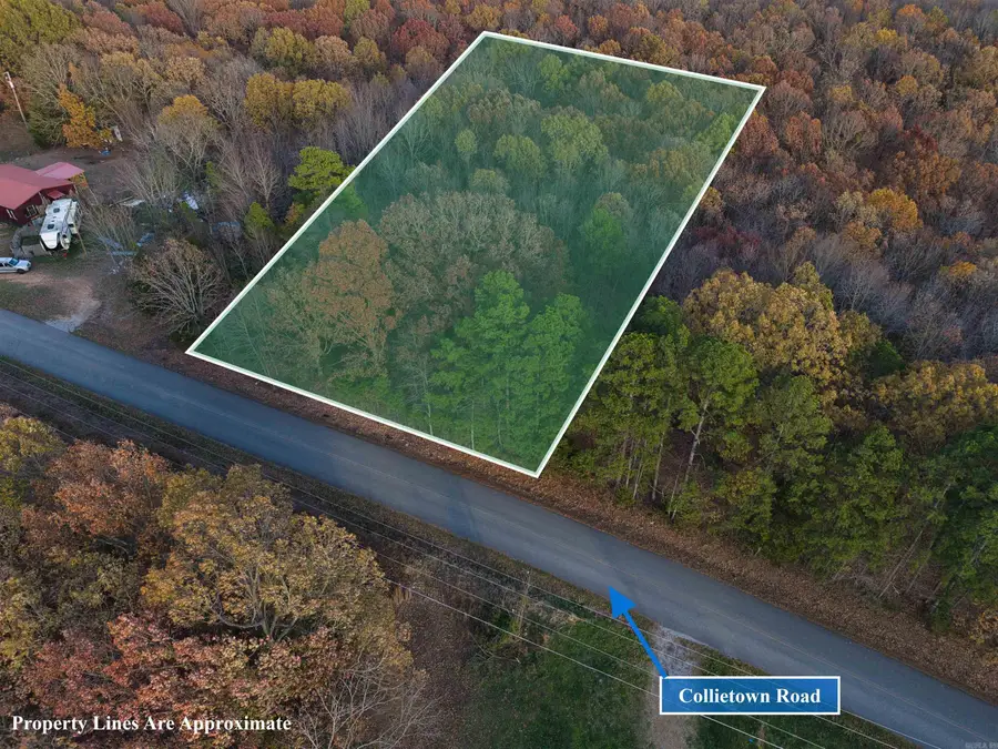 713 Collietown Road, Batesville, AR 72501 - Image #2