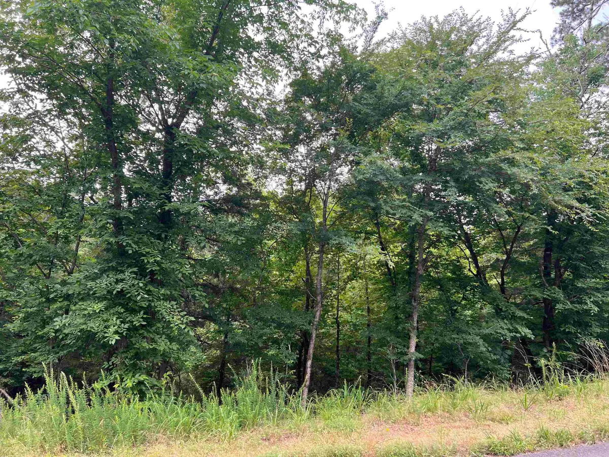 114 Pamplona Way, Hot Springs Village, AR 71909 - #1