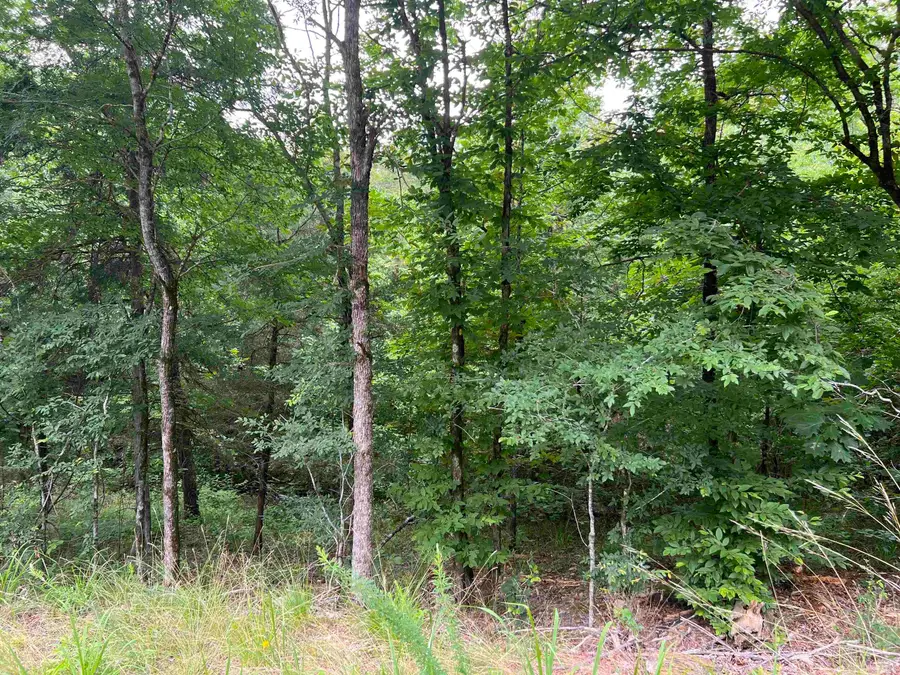 114 Pamplona Way, Hot Springs Village, AR 71909 - #2