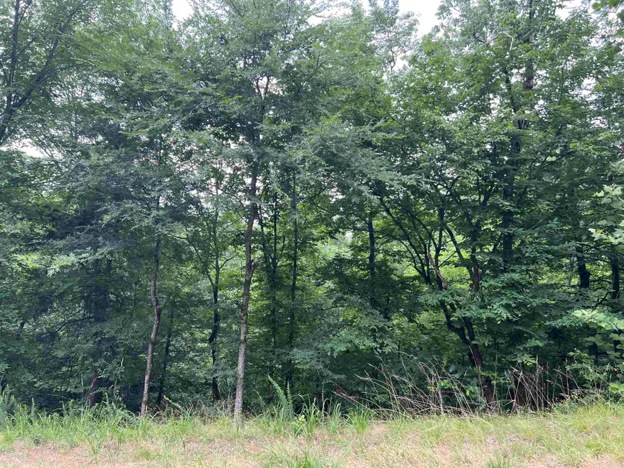 114 Pamplona Way, Hot Springs Village, AR 71909 - #3