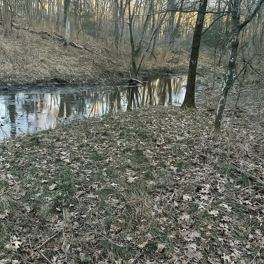 Address Withheld By Seller, Ash Flat, AR 72513 - #2