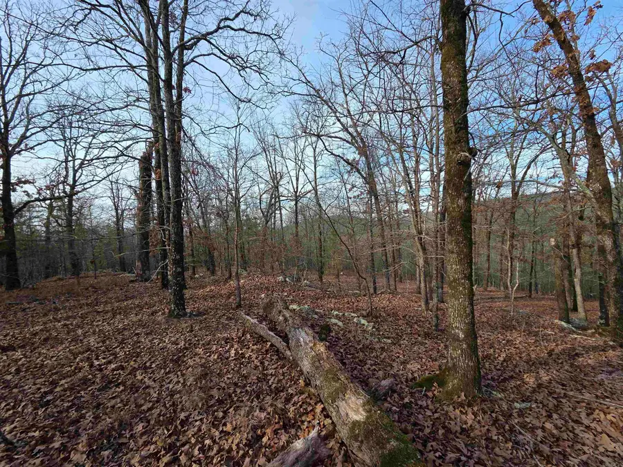 Address Withheld By Seller, Little Rock, AR 72223 - #3