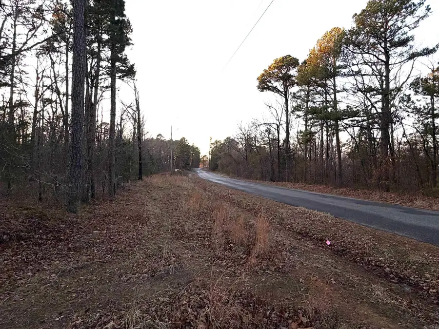 239 Devils Fork Ranch Road, Drasco, AR 72530 - #2