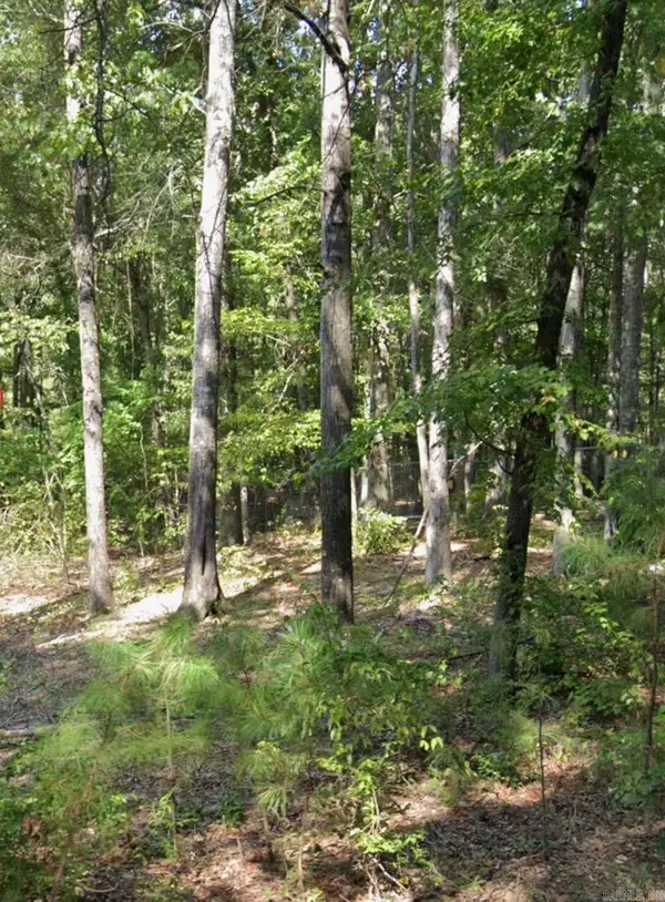 Lot 011 W Jones Avenue, Pine Bluff, AR 71602
