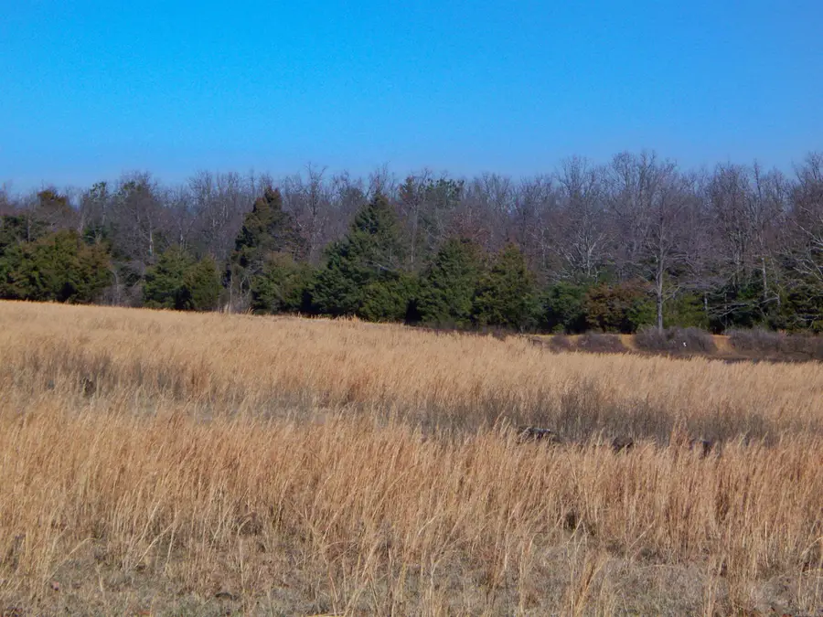 0 Jackson 311, Bradford, AR 72020 - #2