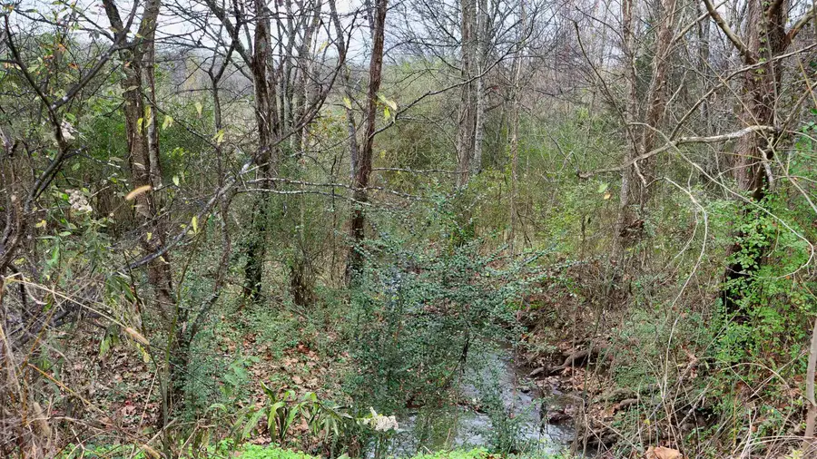 118 Peaceful Place Road, Caddo Gap, AR 71935 - #2