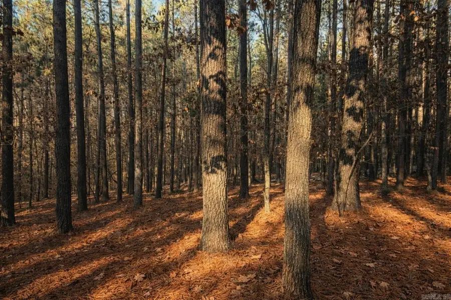 18 Alzar Lane, Hot Springs Village, AR 71909 - #3