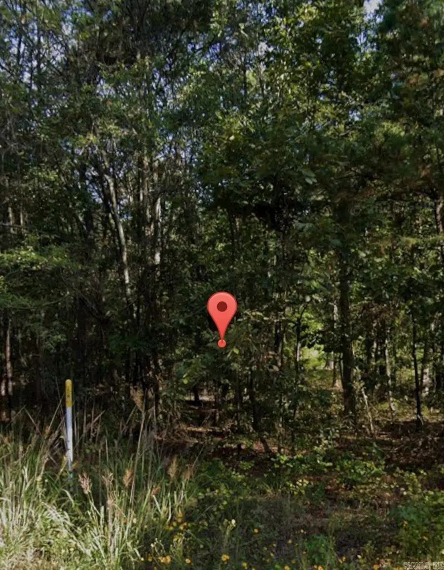 Lot 020 930-37727-000, Pine Bluff, AR 71602 - Image #2