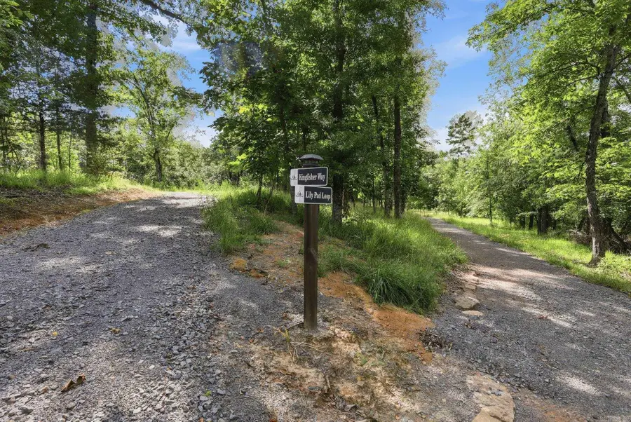 311 Devoe Bend Drive, Maumelle, AR 72113 - #3