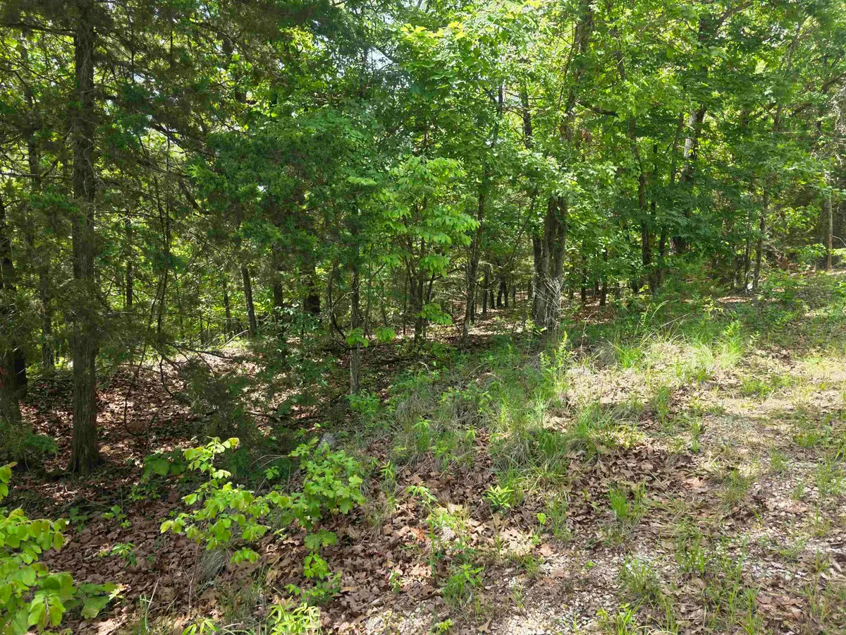 L-22, B-4 Topez Drive, Cherokee Village, AR 72529 - #1