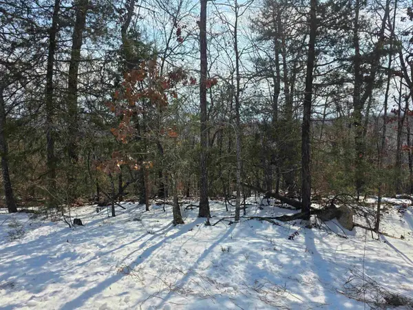 L-38 B-4 Topez Drive, Cherokee Village, AR 72529