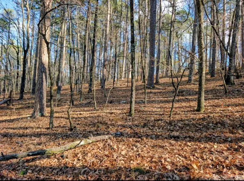 TBD Astorga Circle, Hot Springs Village, AR 71909 - #3