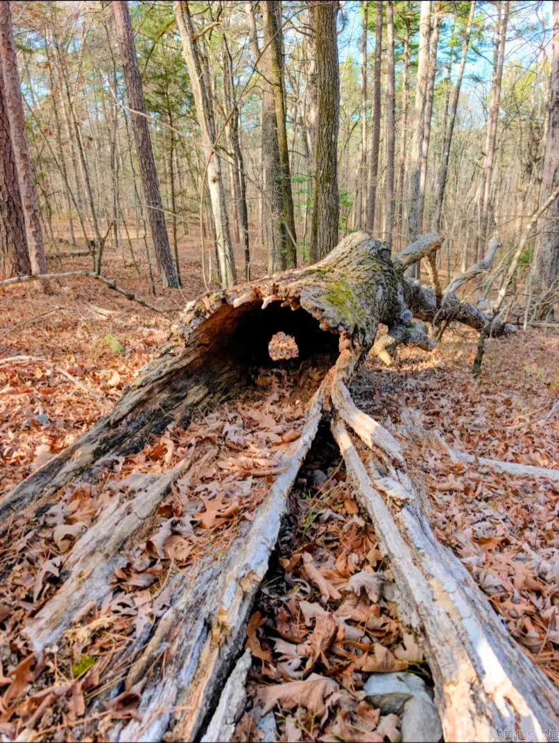 TBD Nova Lane, Hot Springs Village, AR 71909 - #2