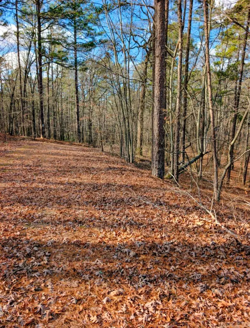 TBD Nova Lane, Hot Springs Village, AR 71909 - #3