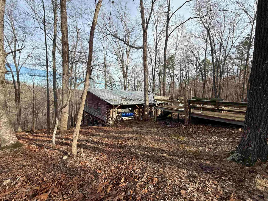 000 Private Road 422-17, Birch Tree, MO 65438 - #3