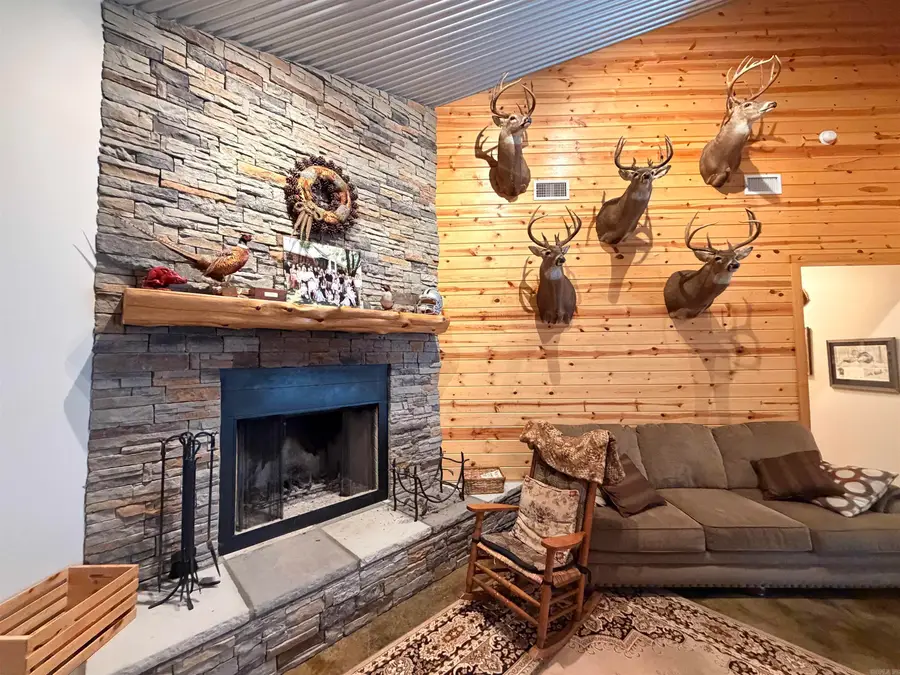 1309 Jones Island Road, Georgetown, AR 72143 - #3