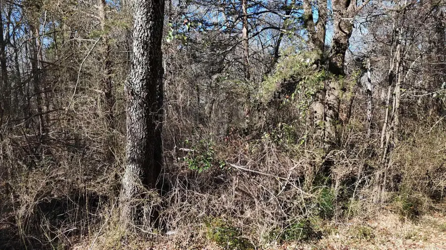 TBD Armour St, Mena, AR 71953 - Image #2