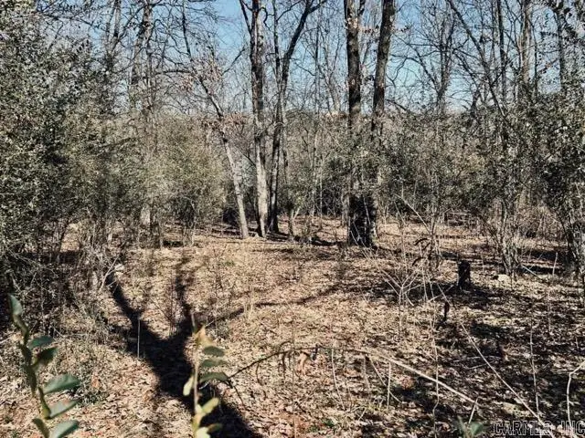 00 Faircove Loop, North Little Rock, AR 72116 - Image #2