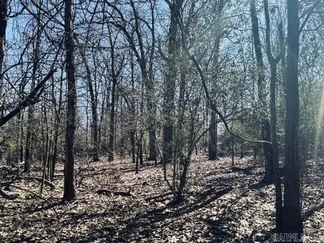 00 Faircove Loop, North Little Rock, AR 72116 - Image #3