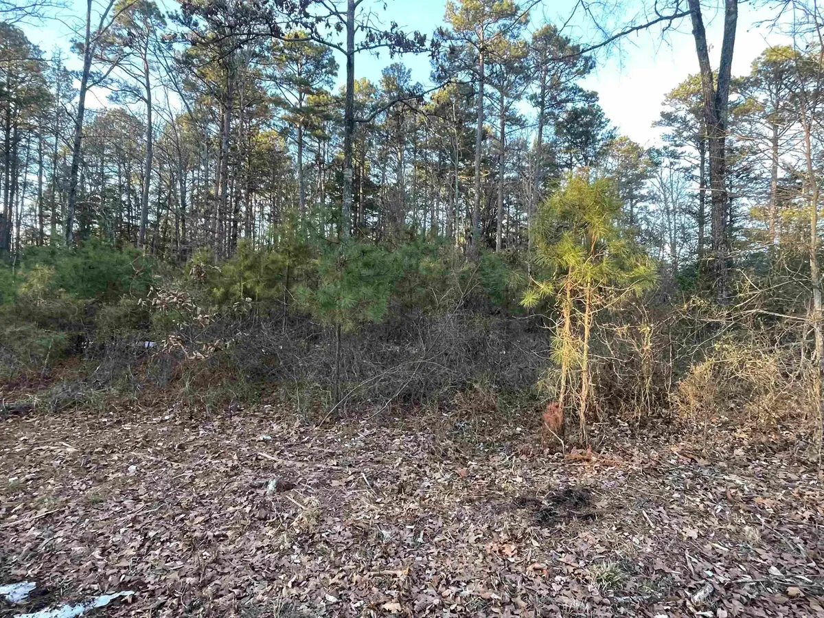 Lot 2 Tract 45 Ellen Lane, Higden, AR 72067 - Image #1