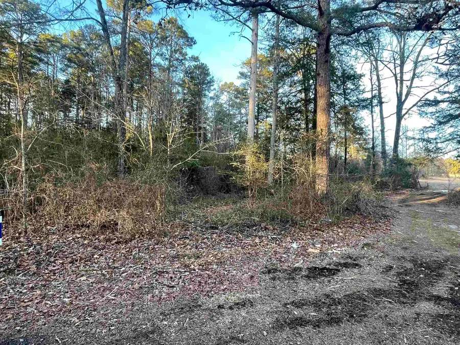 Lot 2 Tract 45 Ellen Lane, Higden, AR 72067 - Image #2