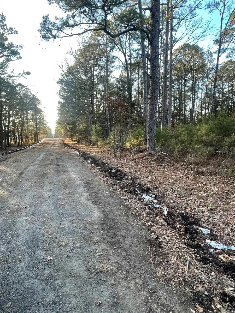 Lot 2 Tract 45 Ellen Lane, Higden, AR 72067 - Image #3