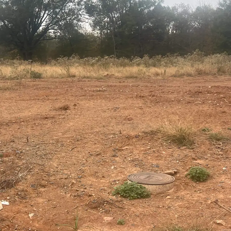 604 Corondelet Lane, Maumelle, AR 72113 - Image #3