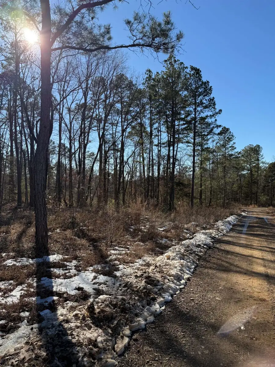 000 Pebble Drive, Clinton, AR 72031 - Image #2