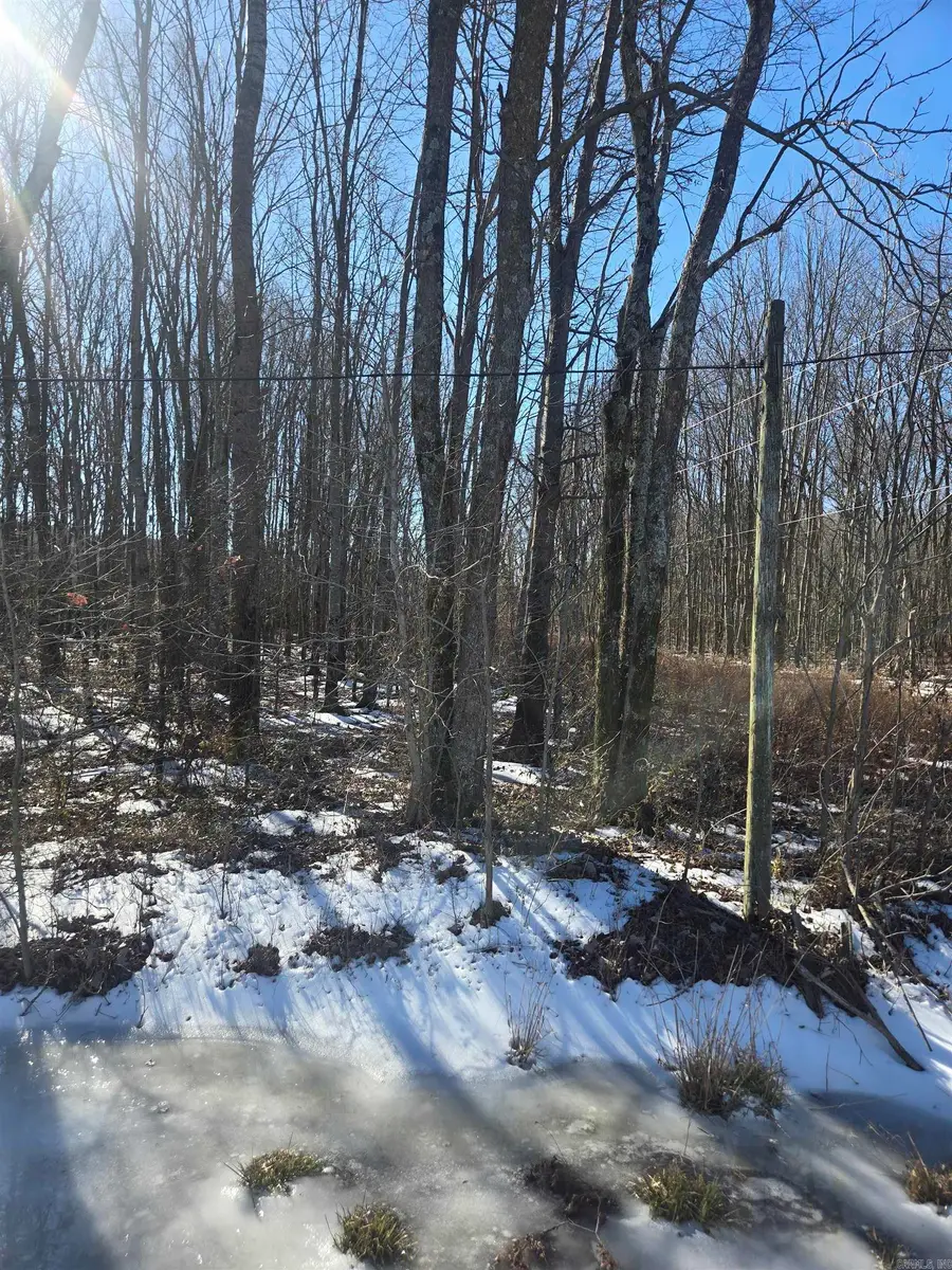 000 Highway 38 East, Cotton Plant, AR 72036 - Image #3