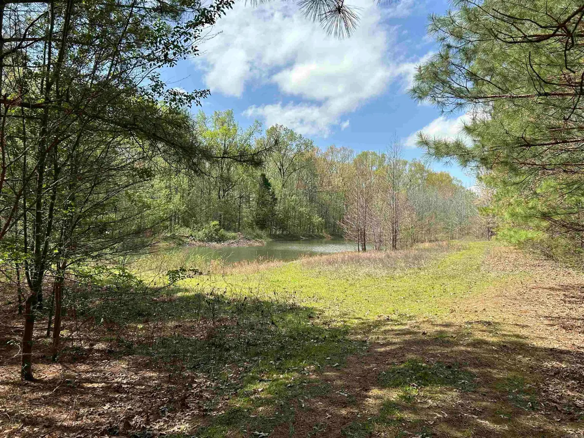 53 Center Point Loop, Vilonia, AR 72173 - #1
