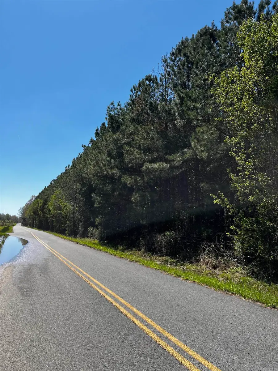 53 Center Point Loop, Vilonia, AR 72173 - #2