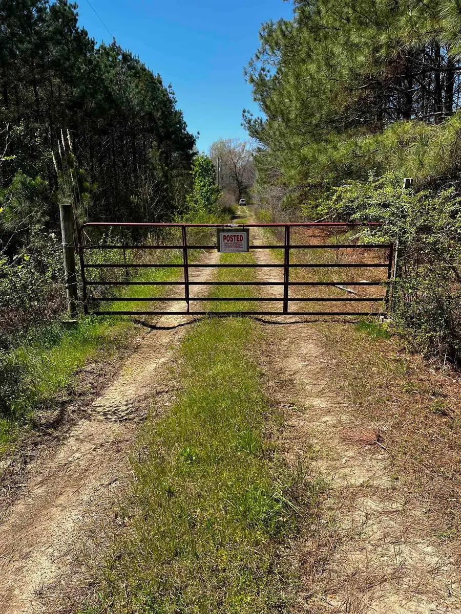 53 Center Point Loop, Vilonia, AR 72173 - #3