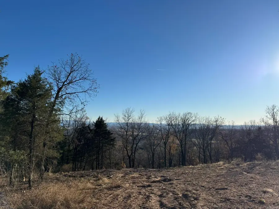 375 Vineyard Lane, Wiederkehr Village, AR 72821 - #2