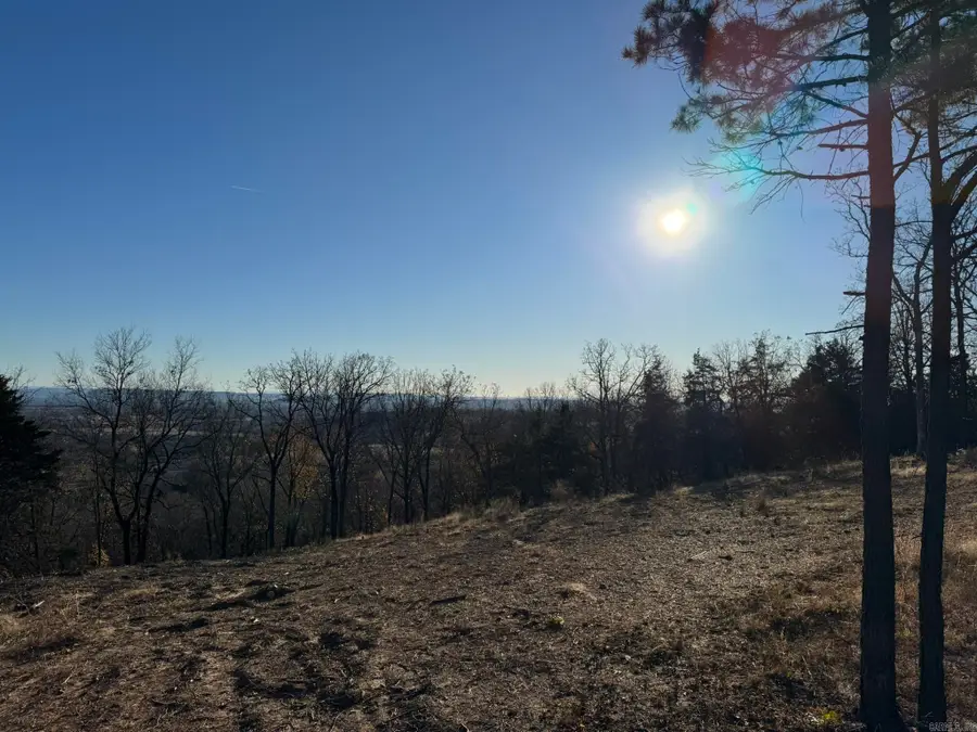 375 Vineyard Lane, Wiederkehr Village, AR 72821 - #3