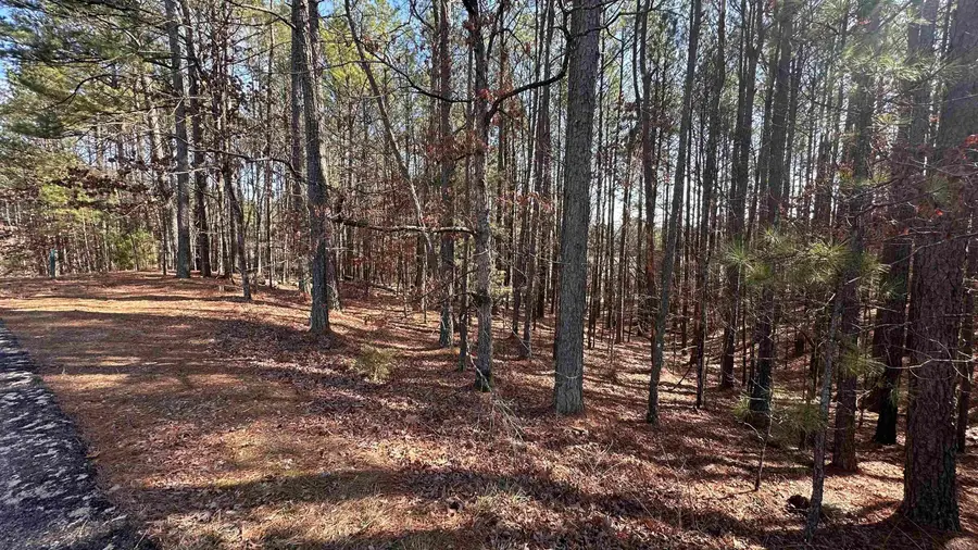 8 Sorprendente Lane, Hot Springs Village, AR 71909 - Image #2