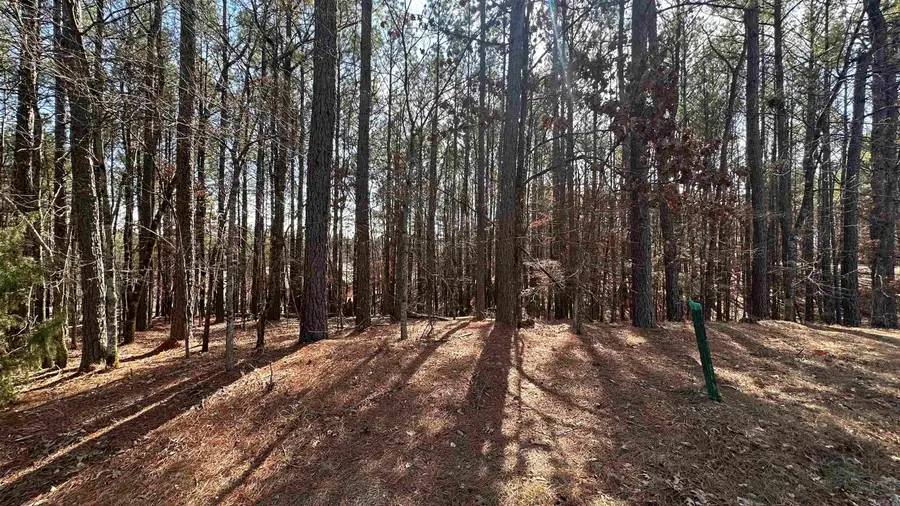 8 Sorprendente Lane, Hot Springs Village, AR 71909 - Image #3