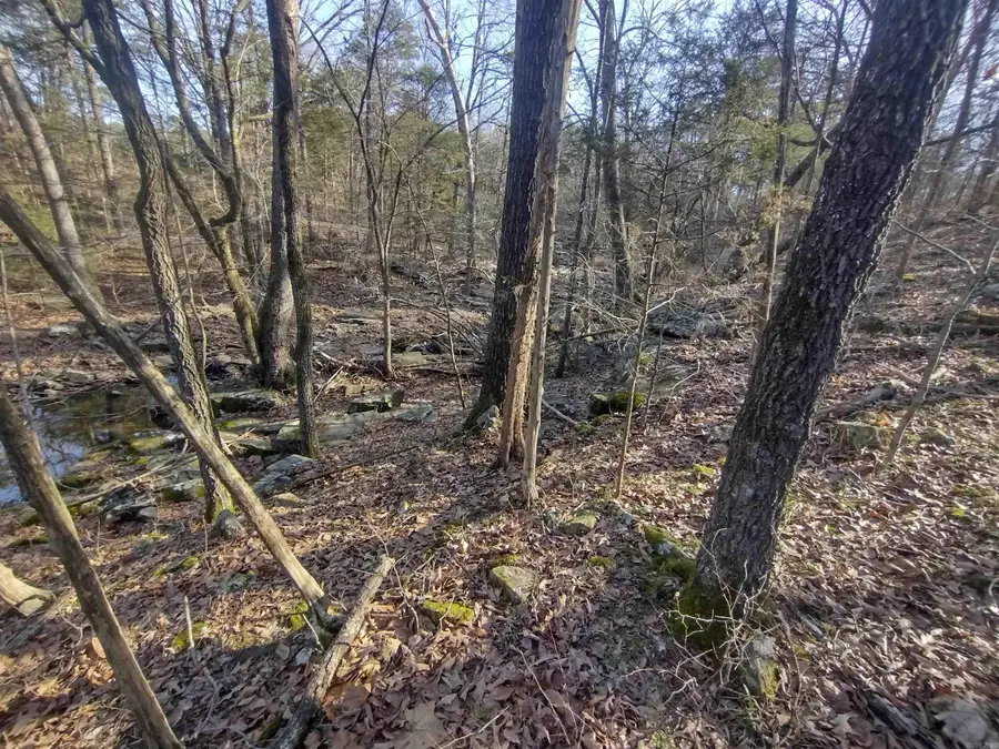 Tract 1 Hwy 14 E, Mountain View, AR 72560 - #2